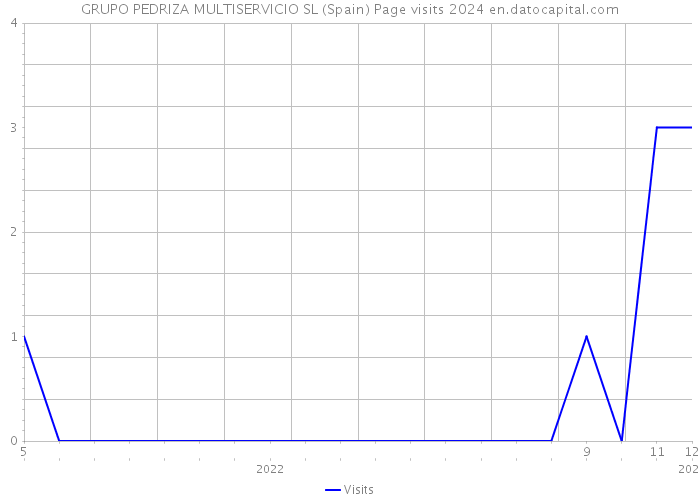GRUPO PEDRIZA MULTISERVICIO SL (Spain) Page visits 2024 
