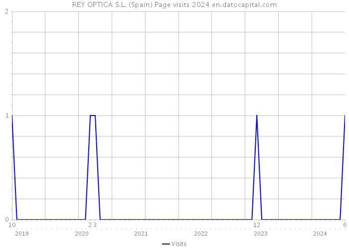 REY OPTICA S.L. (Spain) Page visits 2024 