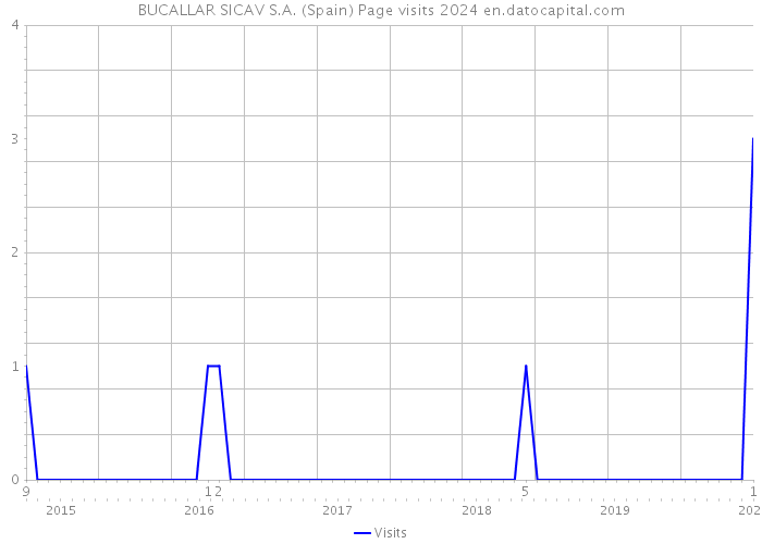 BUCALLAR SICAV S.A. (Spain) Page visits 2024 