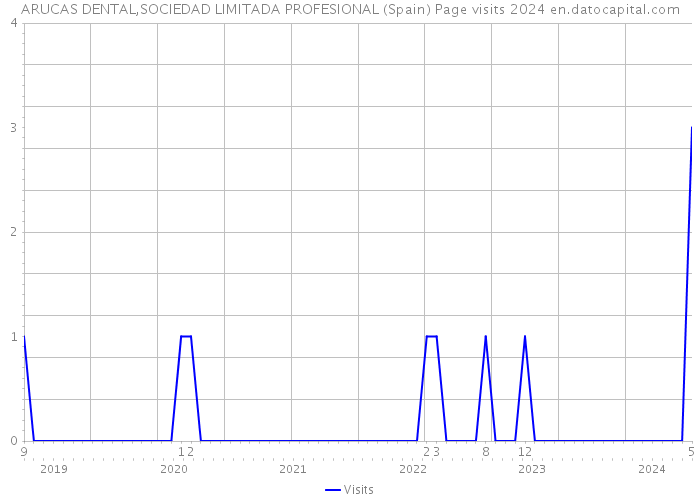 ARUCAS DENTAL,SOCIEDAD LIMITADA PROFESIONAL (Spain) Page visits 2024 