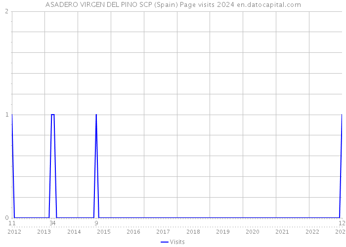 ASADERO VIRGEN DEL PINO SCP (Spain) Page visits 2024 