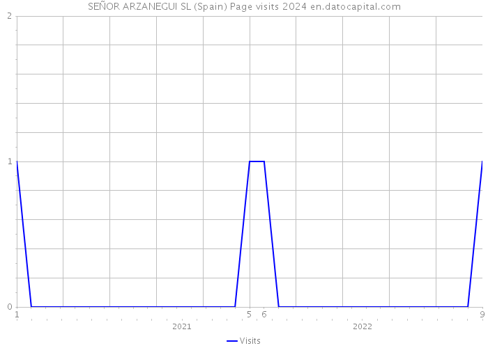 SEÑOR ARZANEGUI SL (Spain) Page visits 2024 