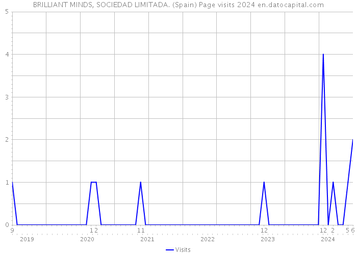 BRILLIANT MINDS, SOCIEDAD LIMITADA. (Spain) Page visits 2024 