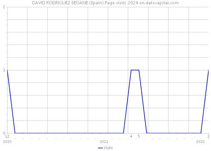 DAVID RODRIGUEZ SEOANE (Spain) Page visits 2024 