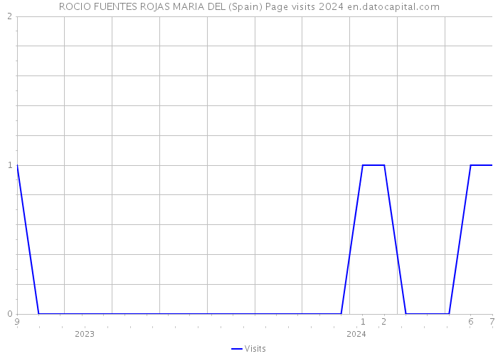 ROCIO FUENTES ROJAS MARIA DEL (Spain) Page visits 2024 