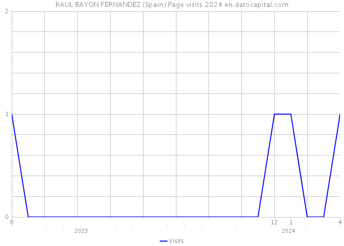 RAUL BAYON FERNANDEZ (Spain) Page visits 2024 