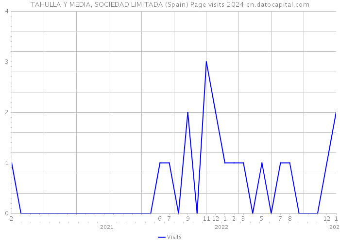 TAHULLA Y MEDIA, SOCIEDAD LIMITADA (Spain) Page visits 2024 