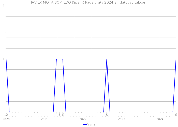 JAVIER MOTA SOMIEDO (Spain) Page visits 2024 