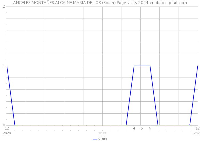 ANGELES MONTAÑES ALCAINE MARIA DE LOS (Spain) Page visits 2024 
