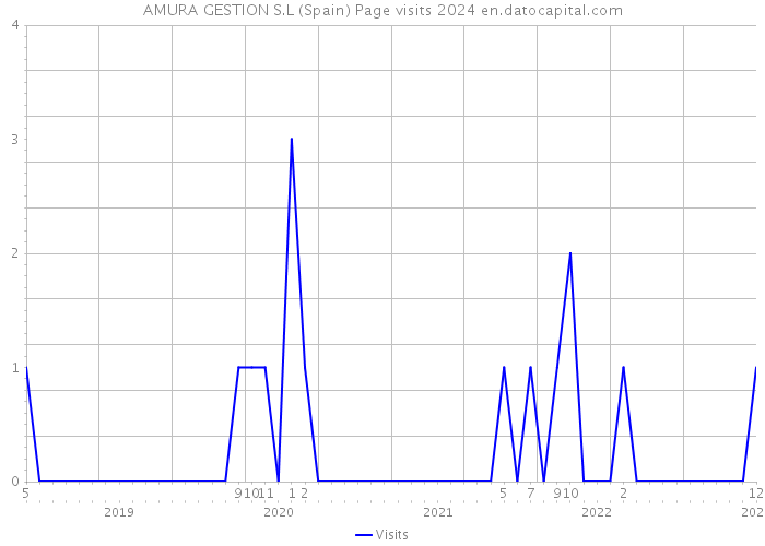 AMURA GESTION S.L (Spain) Page visits 2024 