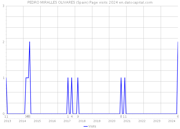 PEDRO MIRALLES OLIVARES (Spain) Page visits 2024 