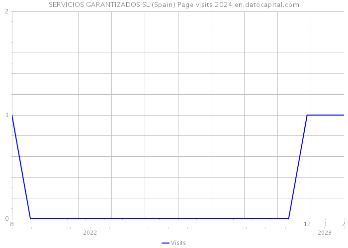 SERVICIOS GARANTIZADOS SL (Spain) Page visits 2024 