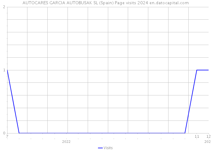 AUTOCARES GARCIA AUTOBUSAK SL (Spain) Page visits 2024 