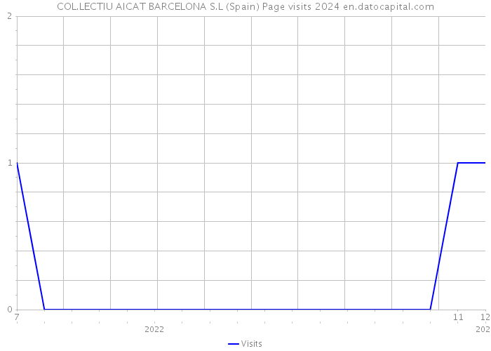 COL.LECTIU AICAT BARCELONA S.L (Spain) Page visits 2024 