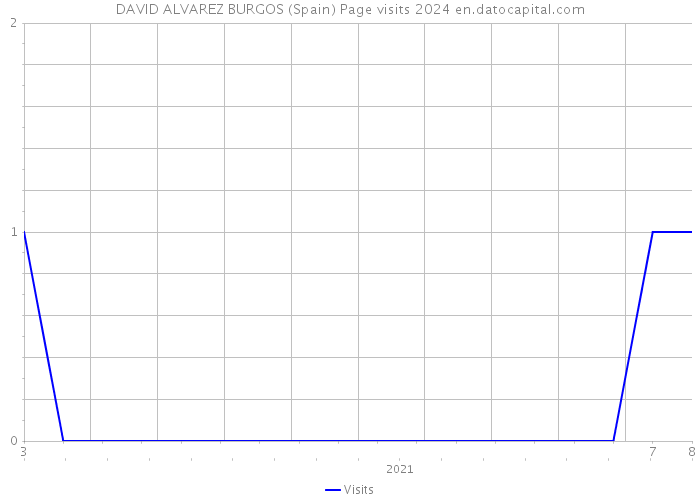 DAVID ALVAREZ BURGOS (Spain) Page visits 2024 