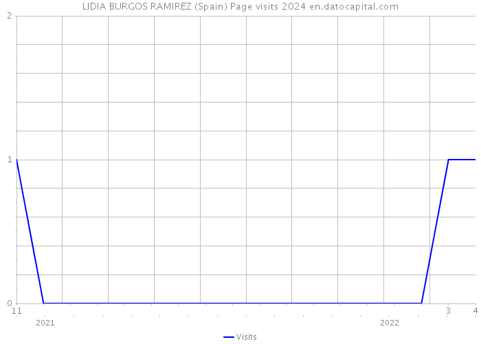 LIDIA BURGOS RAMIREZ (Spain) Page visits 2024 