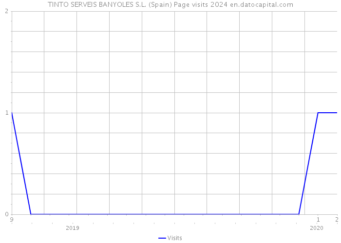 TINTO SERVEIS BANYOLES S.L. (Spain) Page visits 2024 