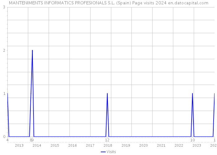MANTENIMENTS INFORMATICS PROFESIONALS S.L. (Spain) Page visits 2024 
