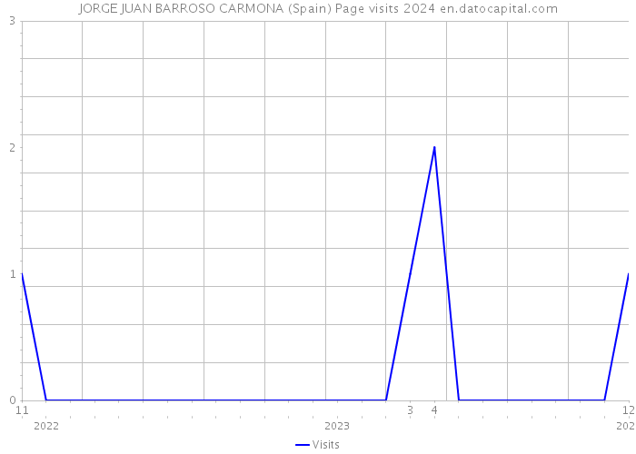 JORGE JUAN BARROSO CARMONA (Spain) Page visits 2024 