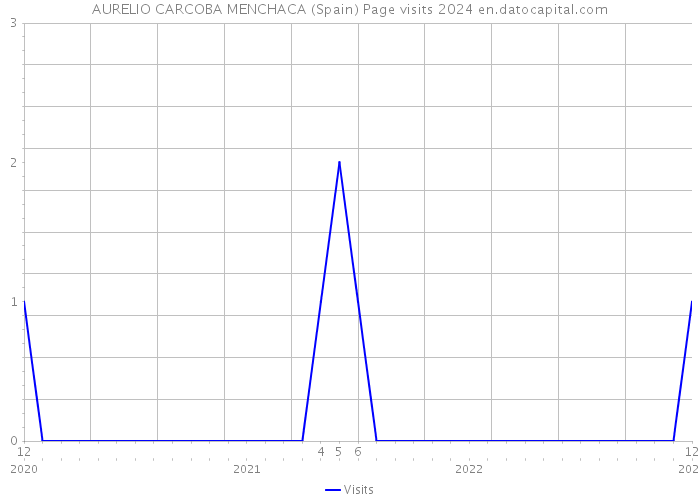 AURELIO CARCOBA MENCHACA (Spain) Page visits 2024 