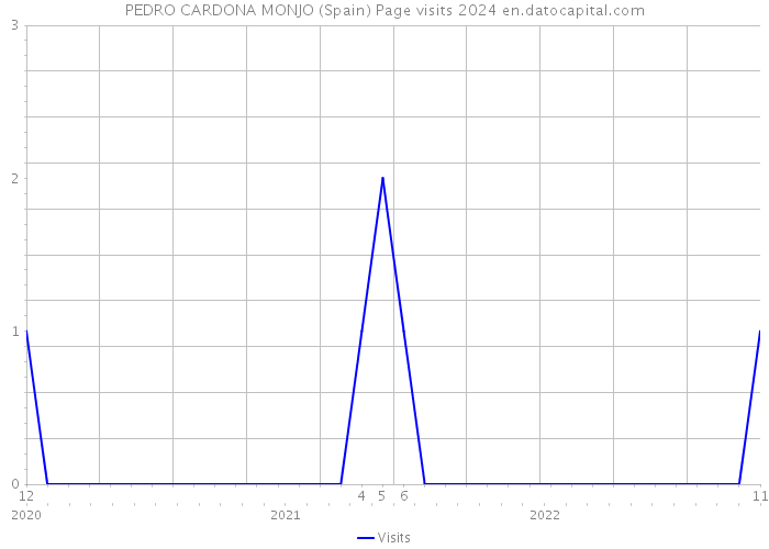 PEDRO CARDONA MONJO (Spain) Page visits 2024 