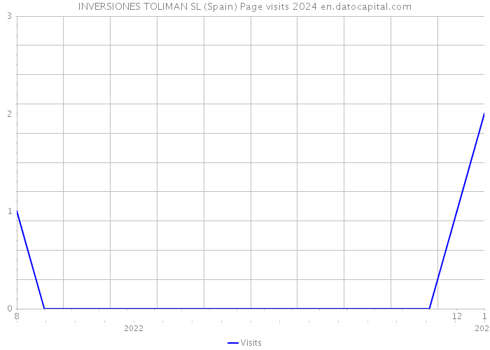 INVERSIONES TOLIMAN SL (Spain) Page visits 2024 