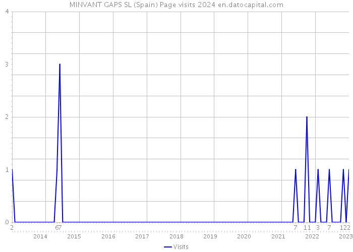 MINVANT GAPS SL (Spain) Page visits 2024 