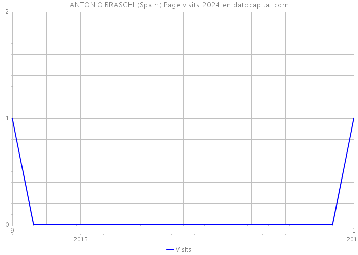 ANTONIO BRASCHI (Spain) Page visits 2024 