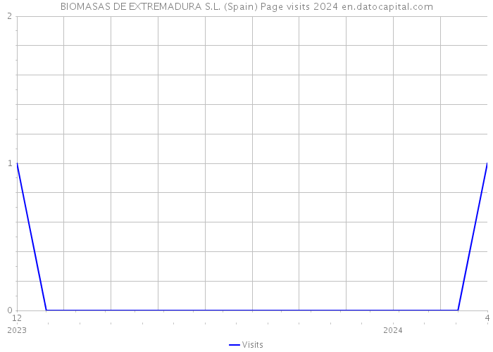 BIOMASAS DE EXTREMADURA S.L. (Spain) Page visits 2024 