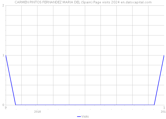 CARMEN PINTOS FERNANDEZ MARIA DEL (Spain) Page visits 2024 