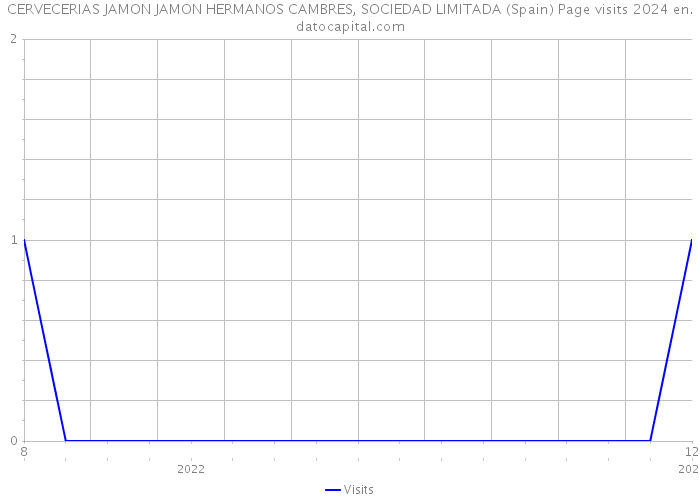 CERVECERIAS JAMON JAMON HERMANOS CAMBRES, SOCIEDAD LIMITADA (Spain) Page visits 2024 