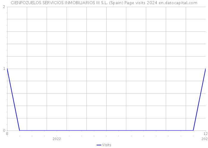 CIENPOZUELOS SERVICIOS INMOBILIARIOS III S.L. (Spain) Page visits 2024 