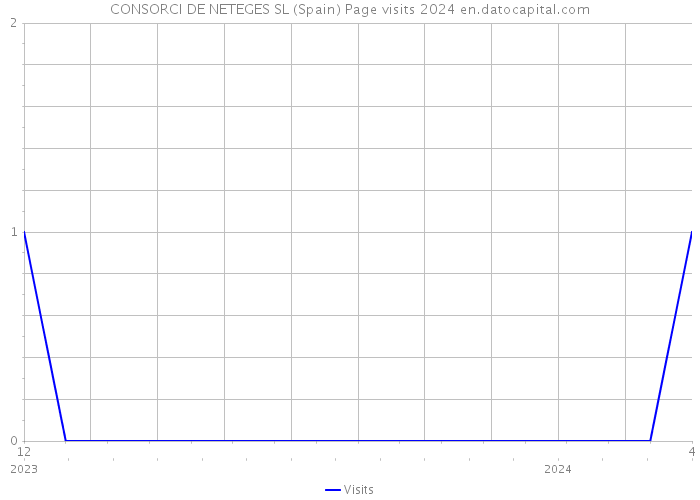 CONSORCI DE NETEGES SL (Spain) Page visits 2024 
