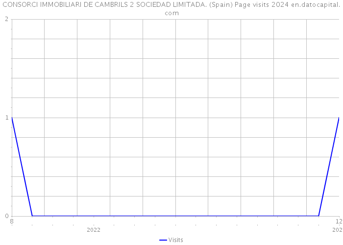 CONSORCI IMMOBILIARI DE CAMBRILS 2 SOCIEDAD LIMITADA. (Spain) Page visits 2024 