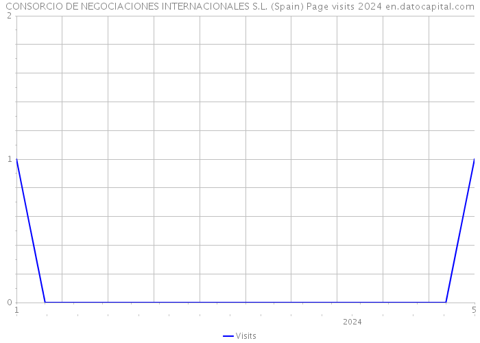 CONSORCIO DE NEGOCIACIONES INTERNACIONALES S.L. (Spain) Page visits 2024 
