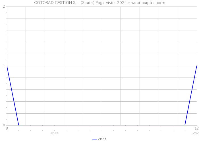 COTOBAD GESTION S.L. (Spain) Page visits 2024 