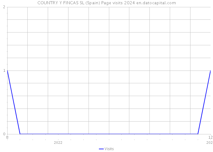 COUNTRY Y FINCAS SL (Spain) Page visits 2024 