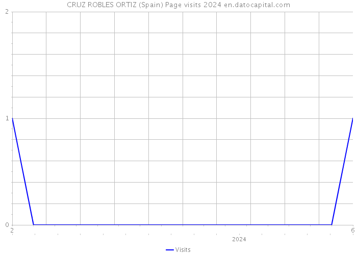 CRUZ ROBLES ORTIZ (Spain) Page visits 2024 