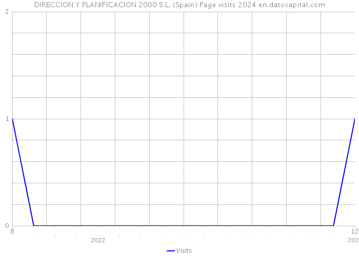 DIRECCION Y PLANIFICACION 2000 S.L. (Spain) Page visits 2024 