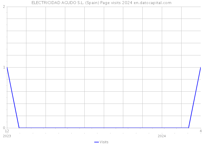 ELECTRICIDAD AGUDO S.L. (Spain) Page visits 2024 