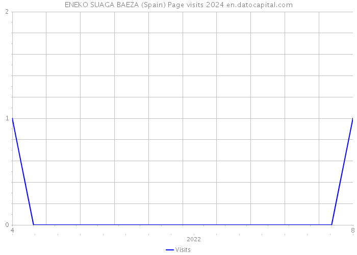 ENEKO SUAGA BAEZA (Spain) Page visits 2024 
