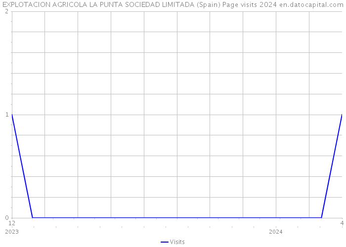 EXPLOTACION AGRICOLA LA PUNTA SOCIEDAD LIMITADA (Spain) Page visits 2024 