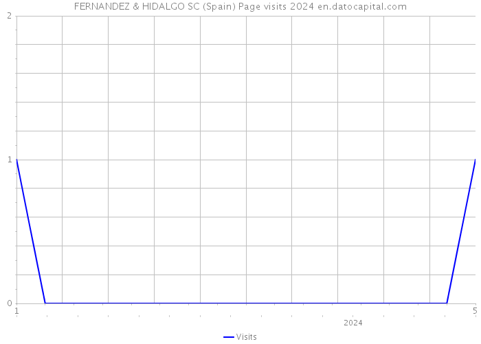 FERNANDEZ & HIDALGO SC (Spain) Page visits 2024 