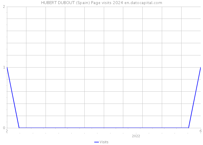 HUBERT DUBOUT (Spain) Page visits 2024 