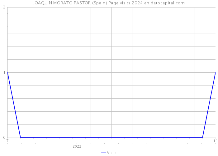 JOAQUIN MORATO PASTOR (Spain) Page visits 2024 