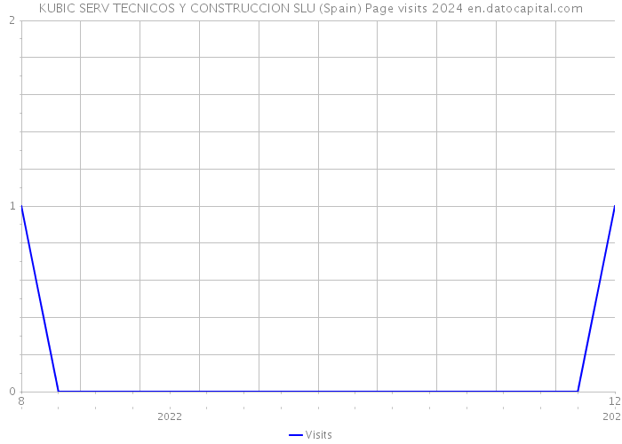 KUBIC SERV TECNICOS Y CONSTRUCCION SLU (Spain) Page visits 2024 