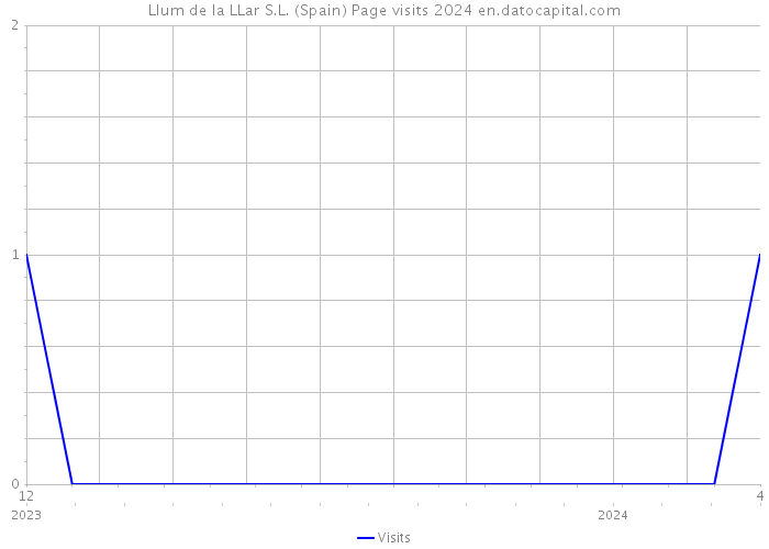 Llum de la LLar S.L. (Spain) Page visits 2024 