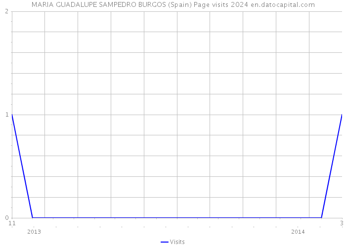 MARIA GUADALUPE SAMPEDRO BURGOS (Spain) Page visits 2024 