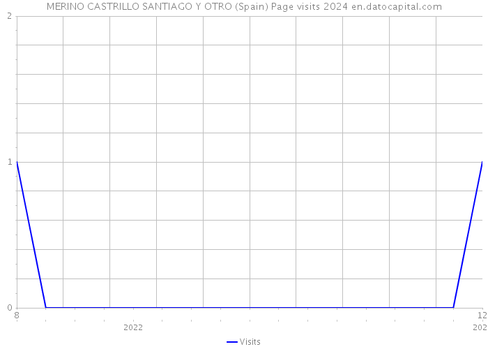 MERINO CASTRILLO SANTIAGO Y OTRO (Spain) Page visits 2024 