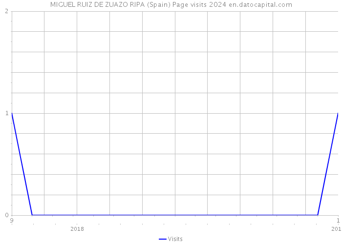 MIGUEL RUIZ DE ZUAZO RIPA (Spain) Page visits 2024 